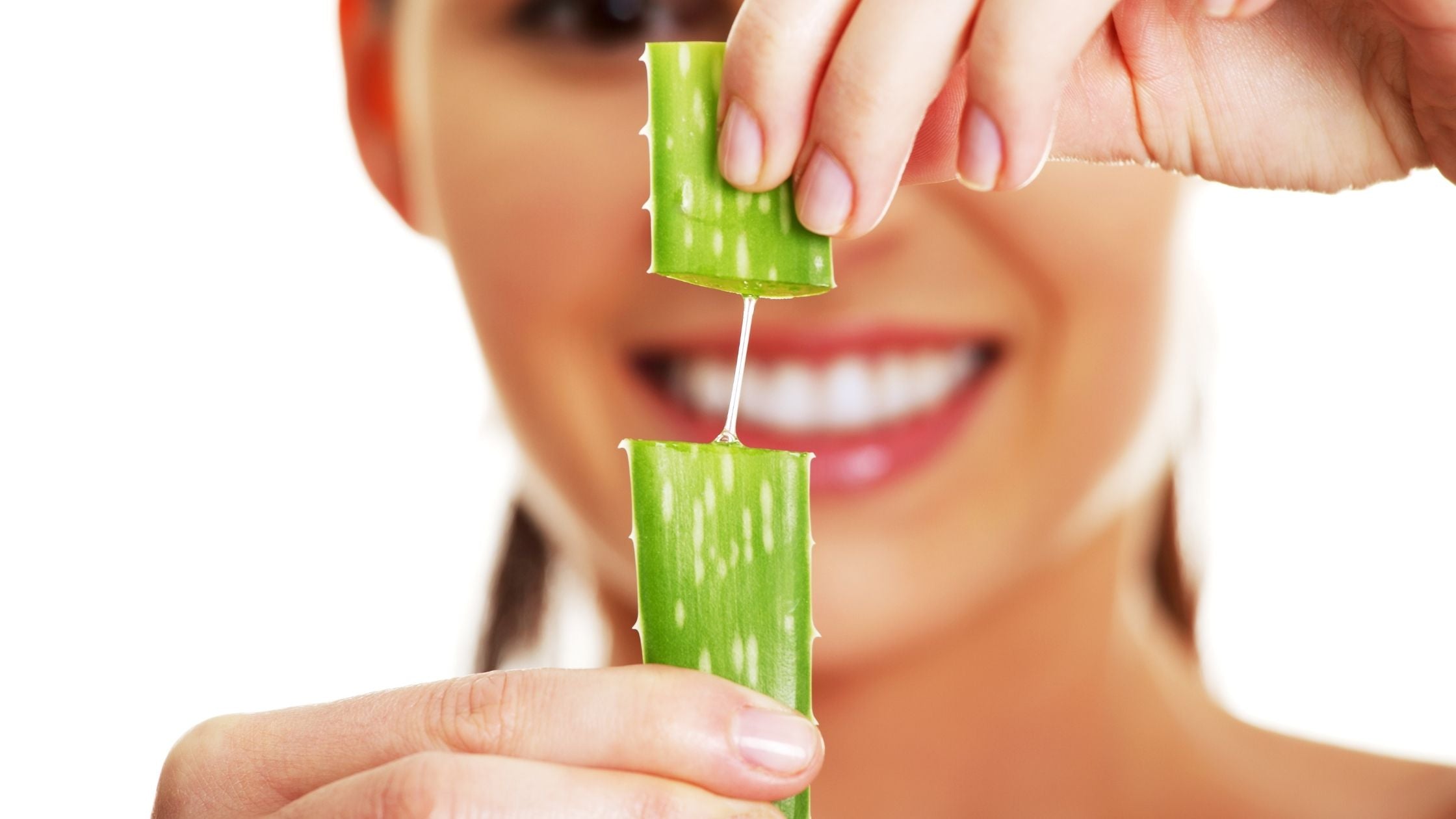Benefits of Using Aloe Vera Benefits of Using Aloe Vera