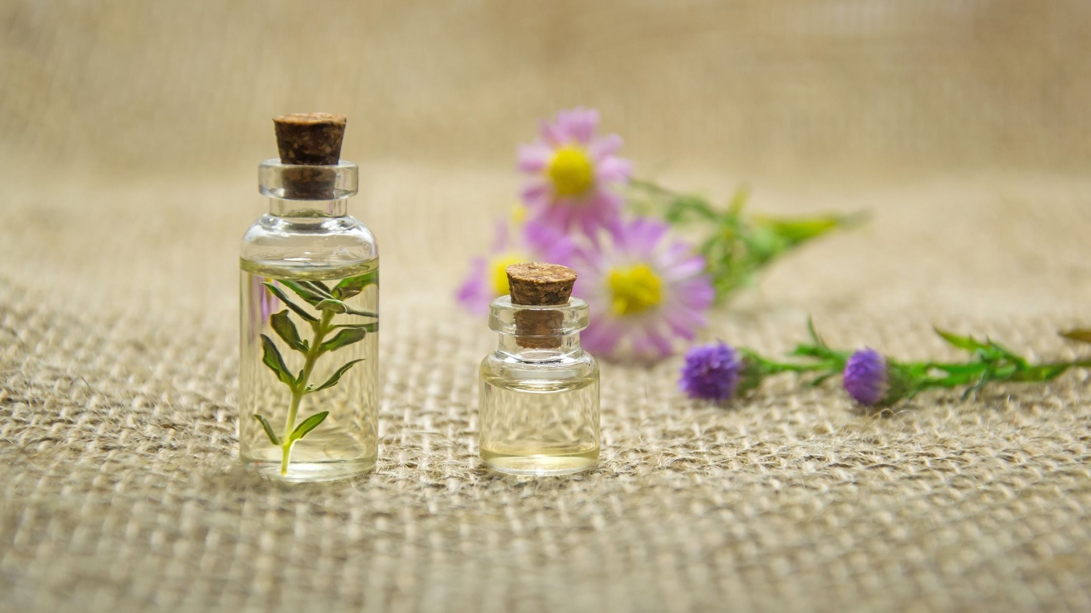 What You Need To Avoid While Choosing A Skincare Product What You Need To Avoid While Choosing A Skincare Product