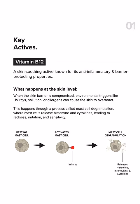 B12 + Repair Complex 5.5% Face Moisturizer