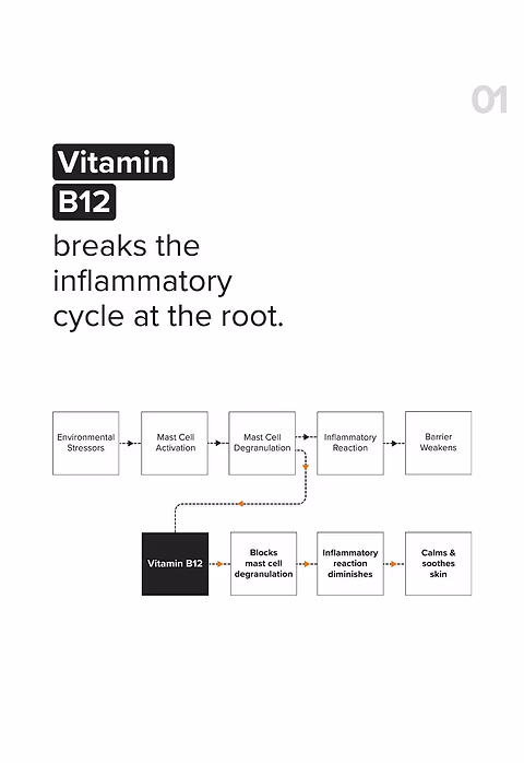 B12 + Repair Complex 5.5% Face Moisturizer