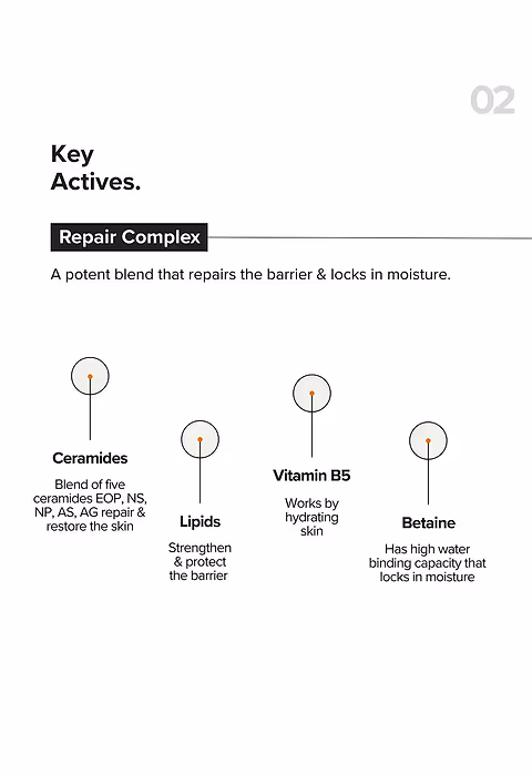 B12 + Repair Complex 5.5% Face Moisturizer